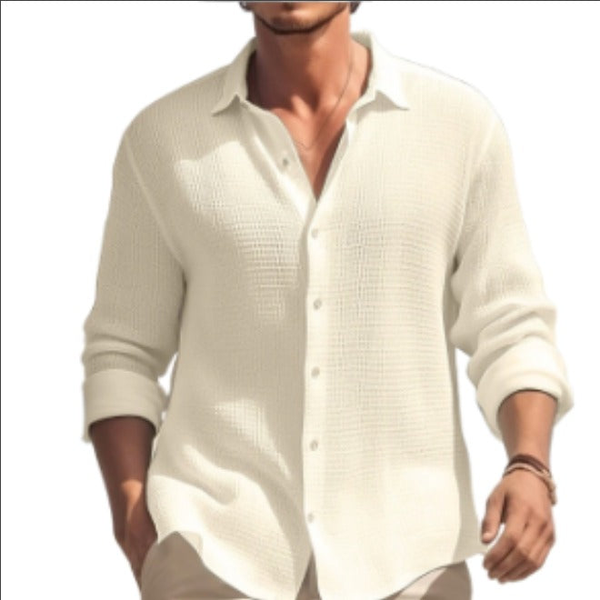 Plus Size Men's Casual Lapel Shirt
