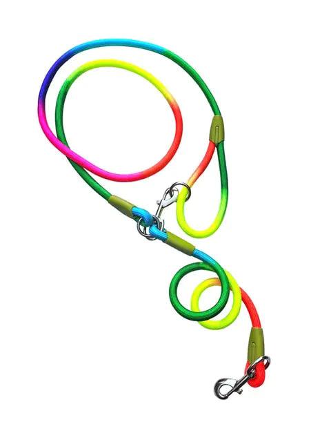 GlowGuide Reflective Nylon Dog Leash - MANDOTOS