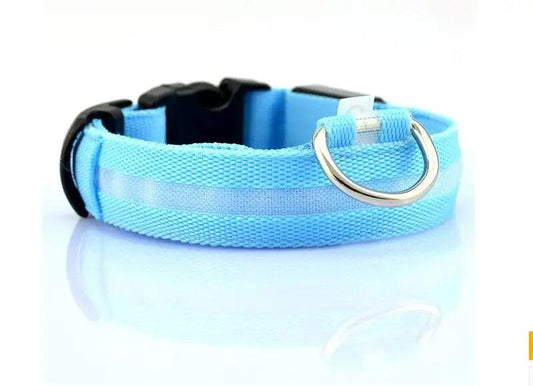 Glowing Night Safety Pet Collar - MANDOTOS