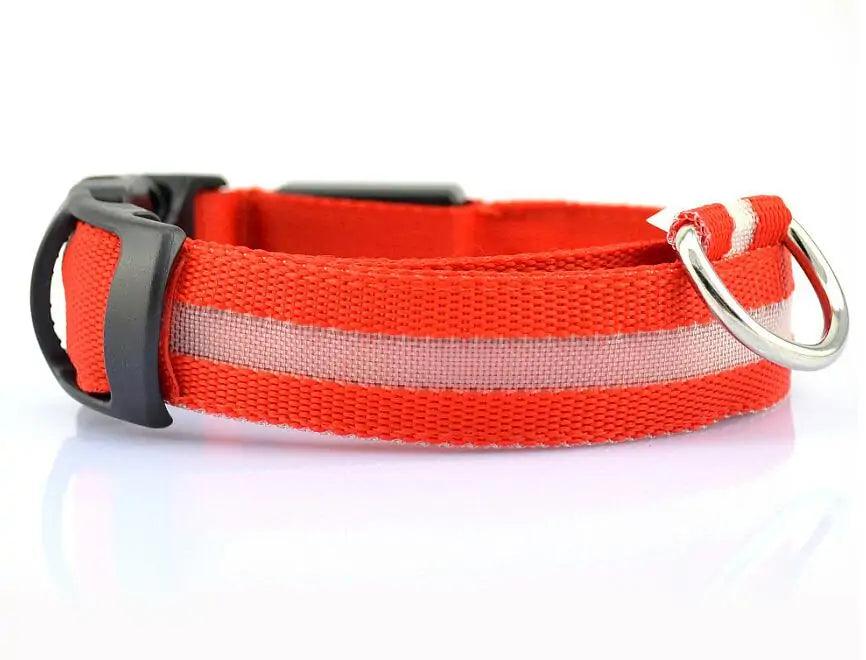 Glowing Night Safety Pet Collar - MANDOTOS