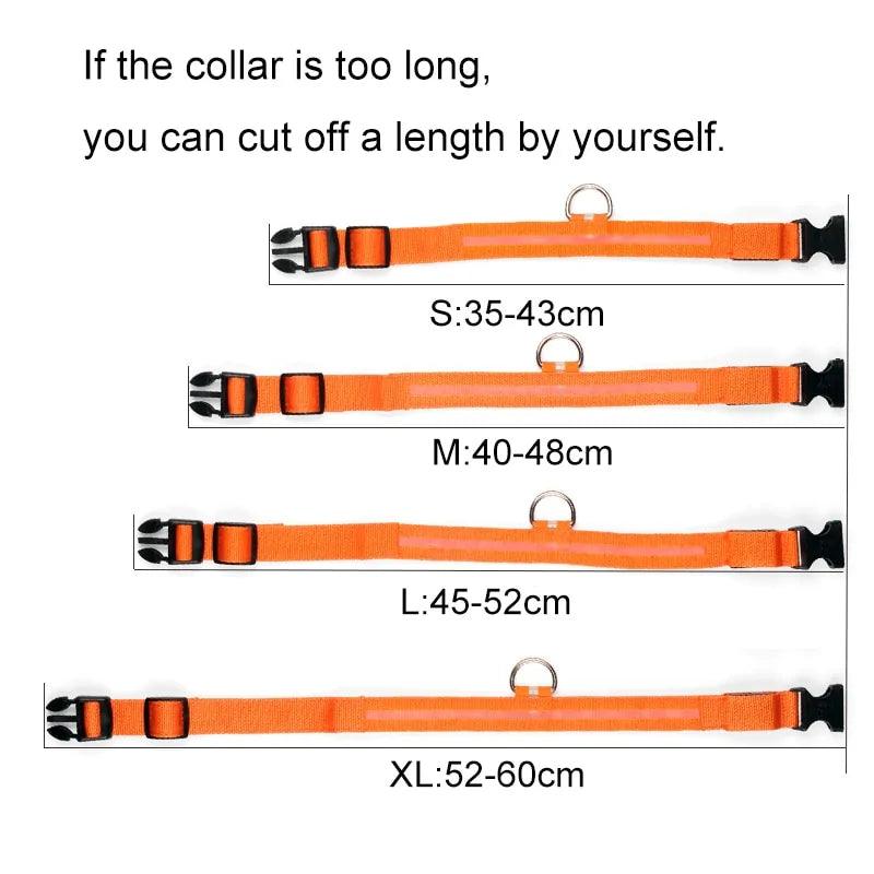 Glowing Night Safety Pet Collar - MANDOTOS