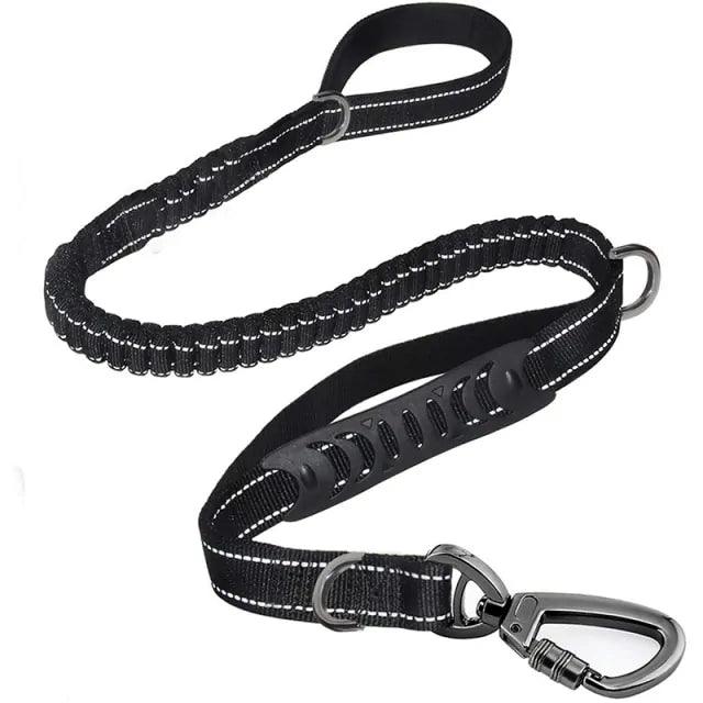Glowing Nighttime Dog Leash - MANDOTOS