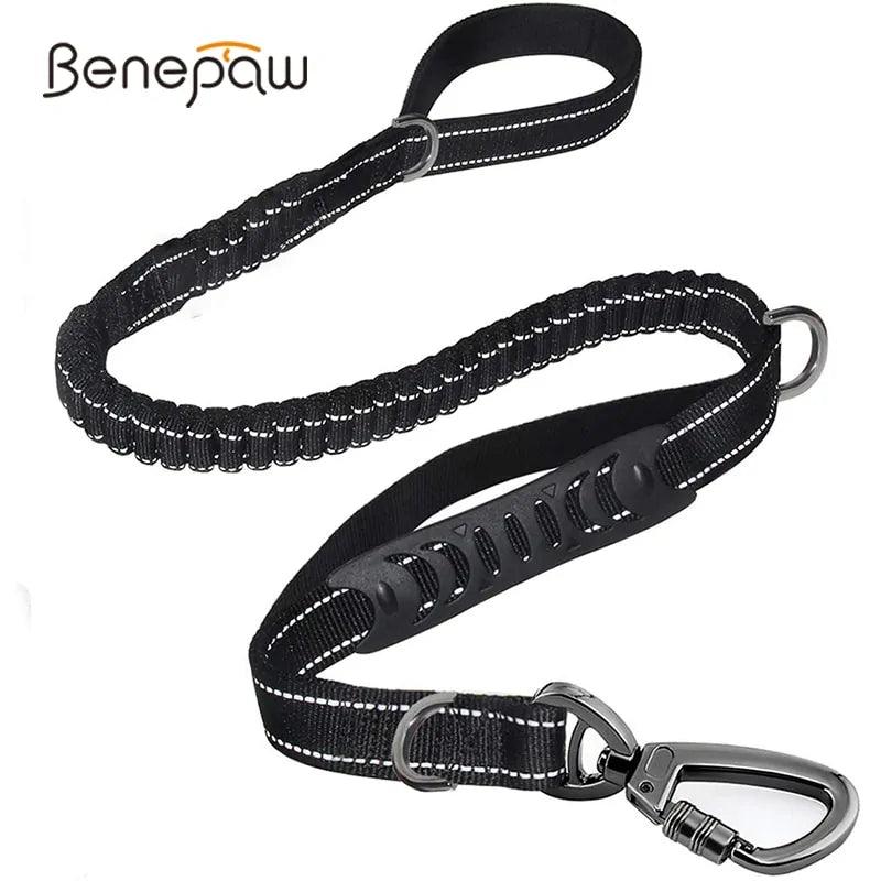 Glowing Nighttime Dog Leash - MANDOTOS