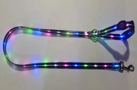 IllumiPup Safety Leash - MANDOTOS
