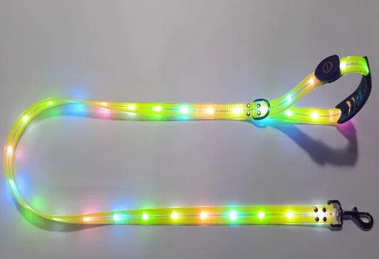 IllumiPup Safety Leash - MANDOTOS