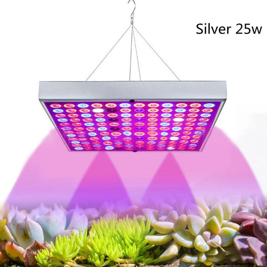 Mandotos LED plant supplement light for growing seedlings in greenhouses, providing optimal light for healthy plant growth.