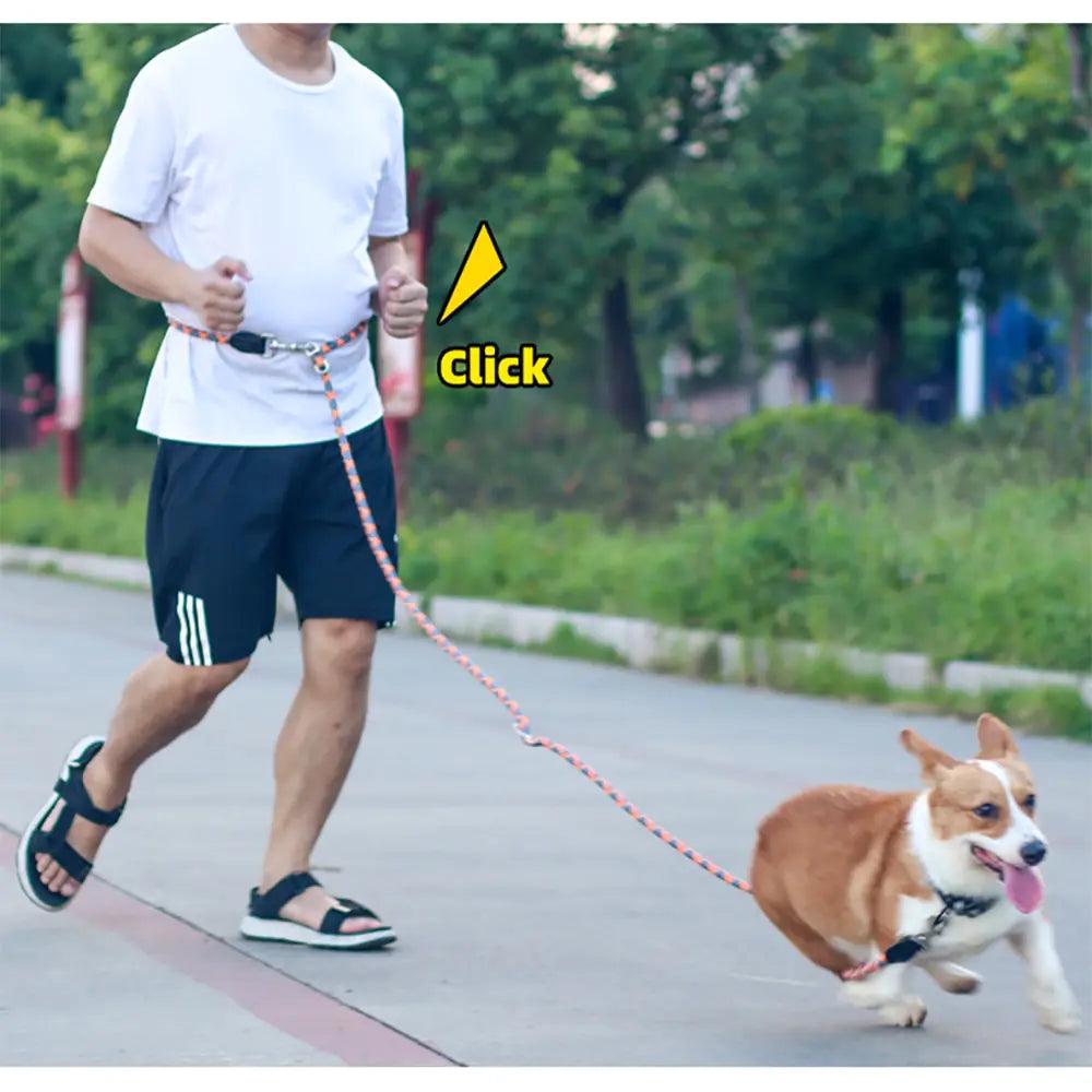 NightSafe Reflective Dog Leash - MANDOTOS