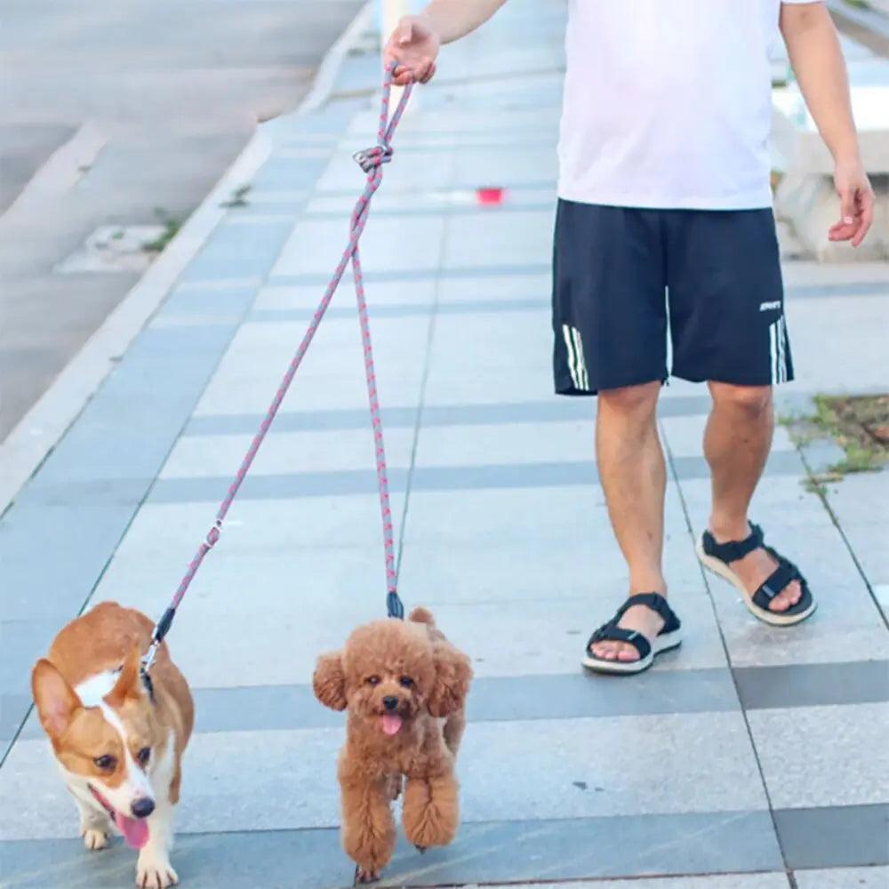 NightSafe Reflective Dog Leash - MANDOTOS