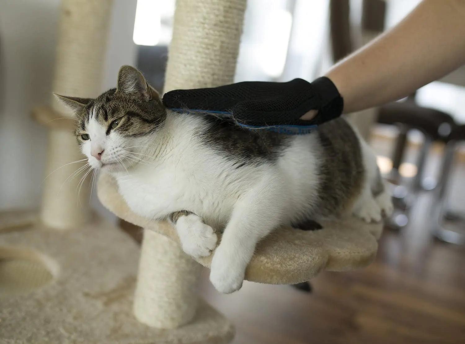 Pet Hair Removal Glove - MANDOTOS