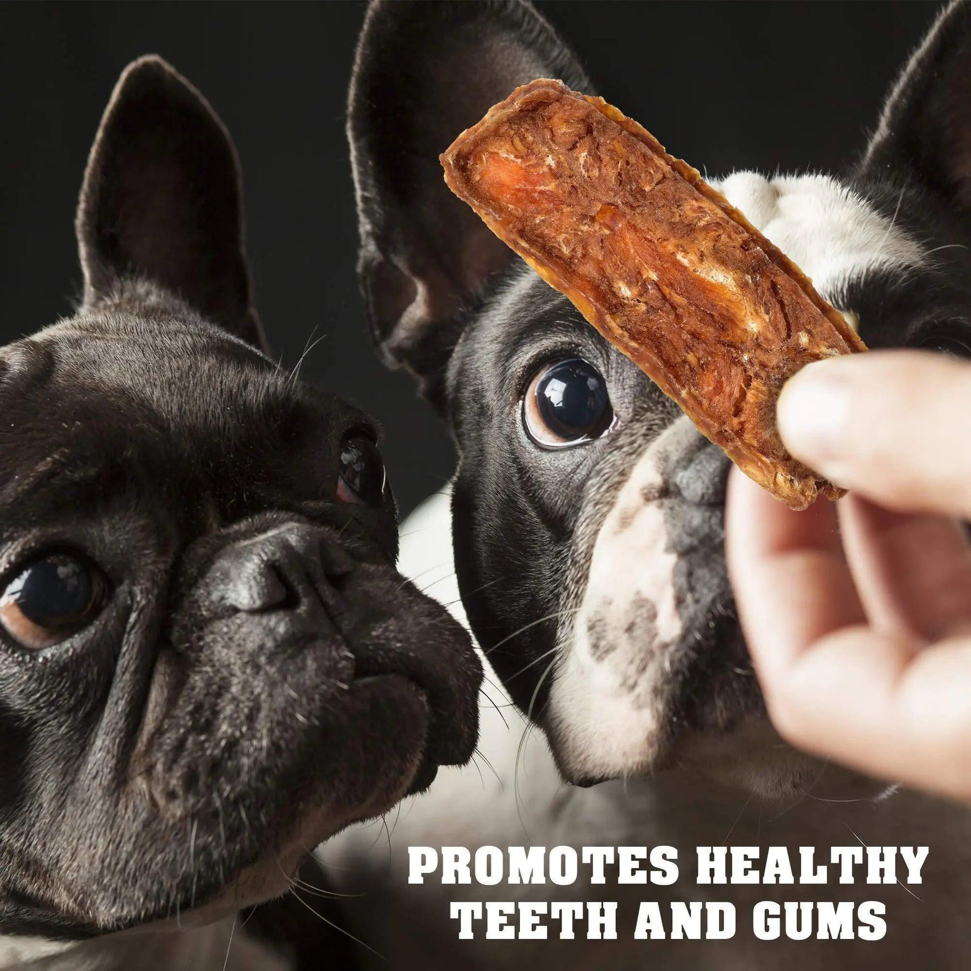 Premium Chicken Jerky Dog Snacks 1.5lb - MANDOTOS