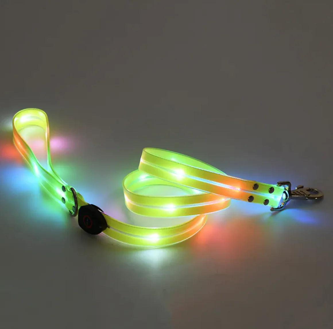 Rechargeable LED Pet Collar with Nylon Leash - MANDOTOS
