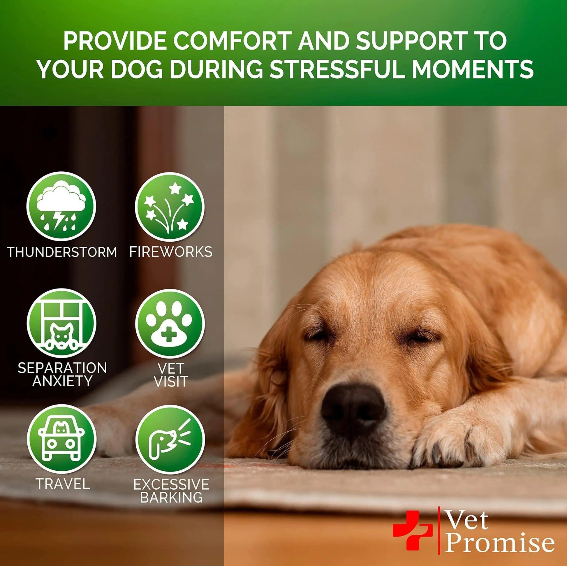 Soothing Hemp Dog Treats for Anxiety - 120 Pack - MANDOTOS
