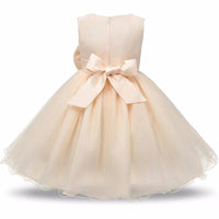 Princess Flower Girl Dress Summer Tutu Wedding Birthday Party Dresses - MANDOTOS INTERNATIONAL0