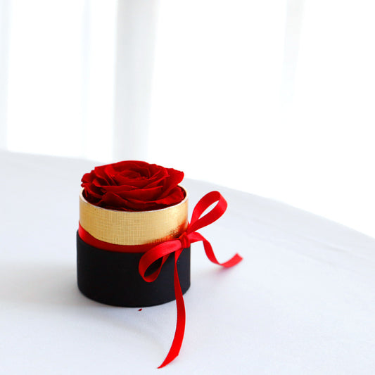 Eternal Roses In Box Preserved Real Rose Flowers With Box Set Valentines Day Gift Romantic Artificial Flowers - MANDOTOS