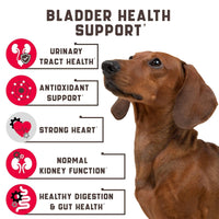 180 Cranberry UT Health Dog Chews - MANDOTOS