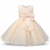 Princess Flower Girl Dress Summer Tutu Wedding Birthday Party Dresses - MANDOTOS INTERNATIONAL0