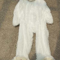 Realistic Plush Bear Toy - Soft, Safe & Charming - MANDOTOS INTERNATIONAL0