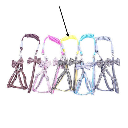 "Small And Medium-sized Leash Pet Dog Supplies - MANDOTOS"