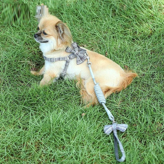 "Small And Medium-sized Leash Pet Dog Supplies - MANDOTOS"