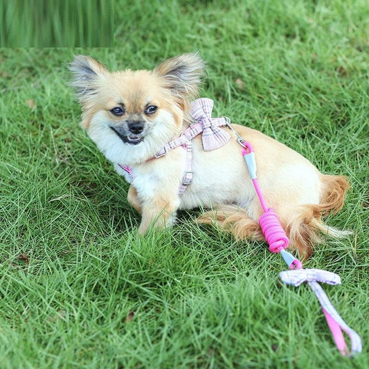 "Small And Medium-sized Leash Pet Dog Supplies - MANDOTOS"