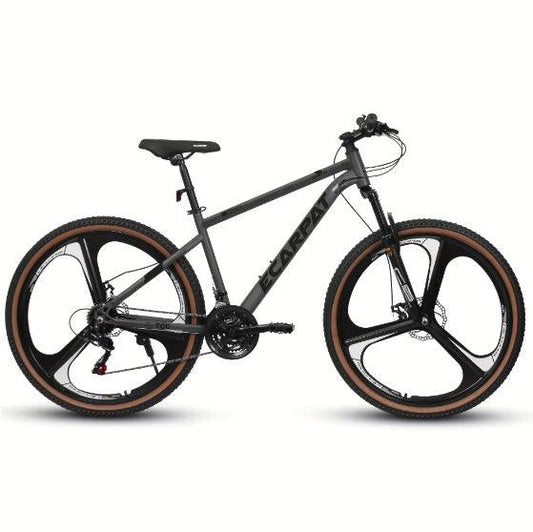 "High-carbon Steel Frame Fork Bike - MANDOTOS"