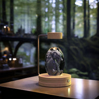 Crystal Ball Cosmic Dinosaur Indoor Night Light USB Power Warm Bedside Light Birthday Gift Night Lamp MANDOTOS