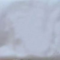 Princess Bride Mermaid Wedding Dress - White Trailing Backless Lace Gown