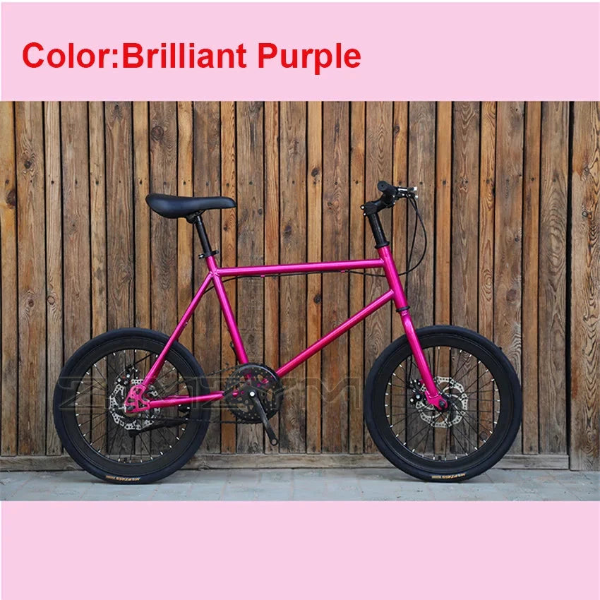 20 Inch Bike Single Speed Fixie Bike Double Dsic Brake Bicycle Freewheel Frame Mini Bicycle Height Adjustable 75-90cm MANDOTOS