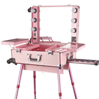 High Quality Makeup Travel Rolling Carry case Cosmetic Beauty Trolley Suitcase with Lights