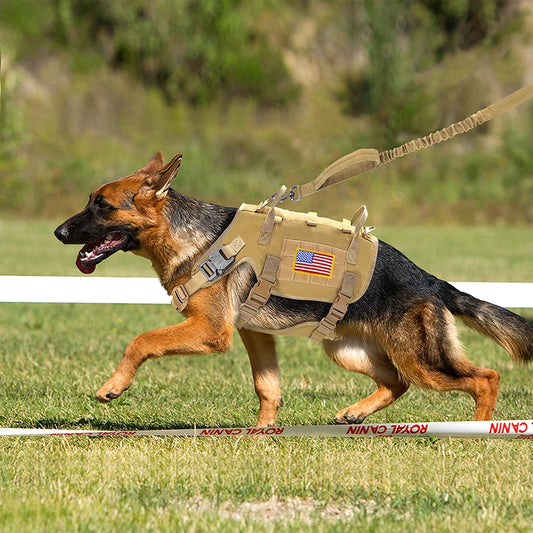 Tactical Dog Harness Leash Durable Military Dog Harness Vest MOLLE For Large Dogs erman Shepherd Training Harnesses With Pouches - MANDOTOS