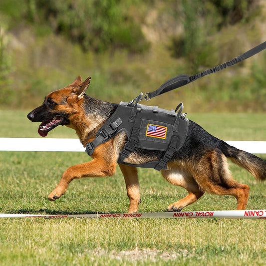 Tactical Dog Harness Leash Durable Military Dog Harness Vest MOLLE For Large Dogs erman Shepherd Training Harnesses With Pouches - MANDOTOS