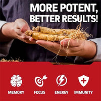 Korean Red Panax Ginseng Capsules - Increases Energy, Mood, Stamina & Performance Supports Mental Health MANDOTOS
