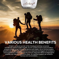 Shilajit - Natural Energizer To Rejuvenate The Body, Improve Mental Clarity and Boost The Immune System MANDOTOS