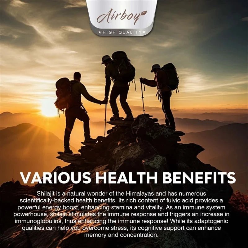 Shilajit - Natural Energizer To Rejuvenate The Body, Improve Mental Clarity and Boost The Immune System MANDOTOS