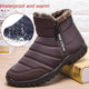 5685-1Camello