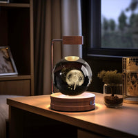 Crystal Ball Cosmic Dinosaur Indoor Night Light USB Power Warm Bedside Light Birthday Gift Night Lamp MANDOTOS