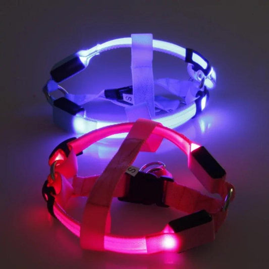 Bright Night Pet LED Harness - MANDOTOS