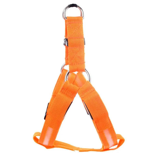 Bright Night Pet LED Harness - MANDOTOS
