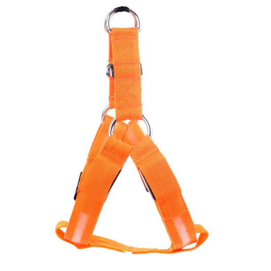 Bright Night Pet LED Harness - MANDOTOS