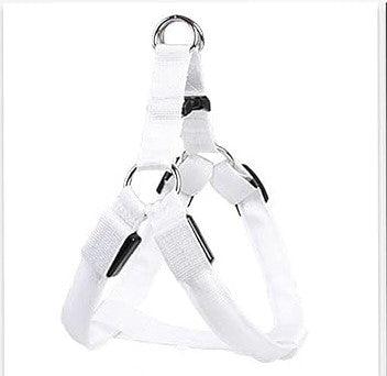 Bright Night Pet LED Harness - MANDOTOS