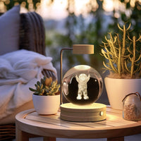Crystal Ball Cosmic Dinosaur Indoor Night Light USB Power Warm Bedside Light Birthday Gift Night Lamp MANDOTOS