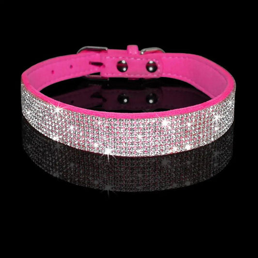 Chic Pet Walk Set - MANDOTOS