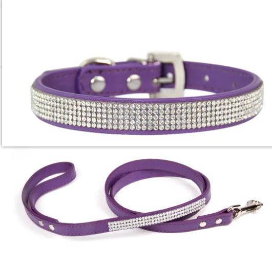 Chic Pet Walk Set - MANDOTOS