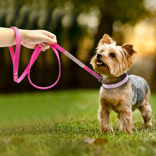 Chic Pet Walk Set - MANDOTOS