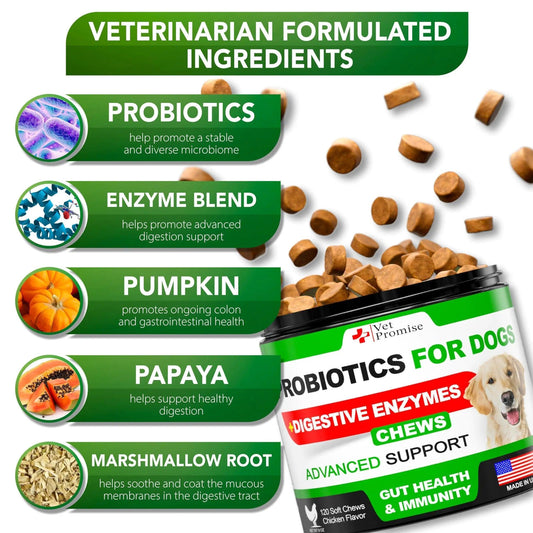 Digestive Health Probiotics Chews for Dogs 120 Count - MANDOTOS