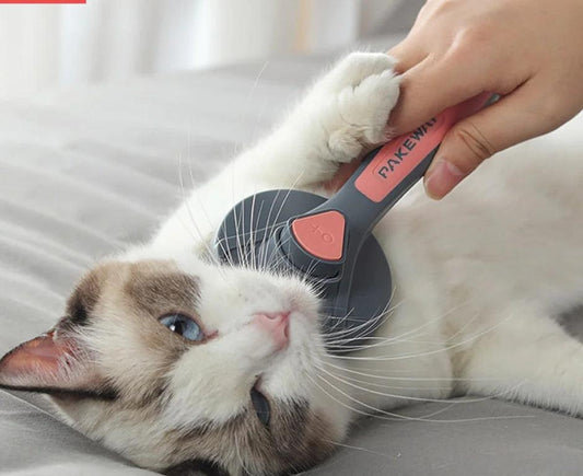 EasyClean Pet Grooming Brush - MANDOTOS