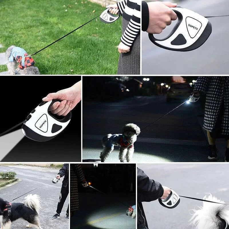 FlexiGlow Dog Leash with LED Light - MANDOTOS