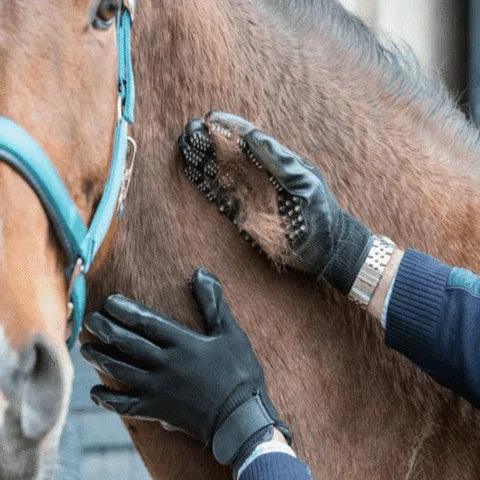 FurMaster Grooming Glove - MANDOTOS