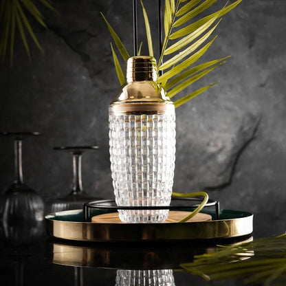 Glass Cocktail Shaker Kit - MANDOTOS
