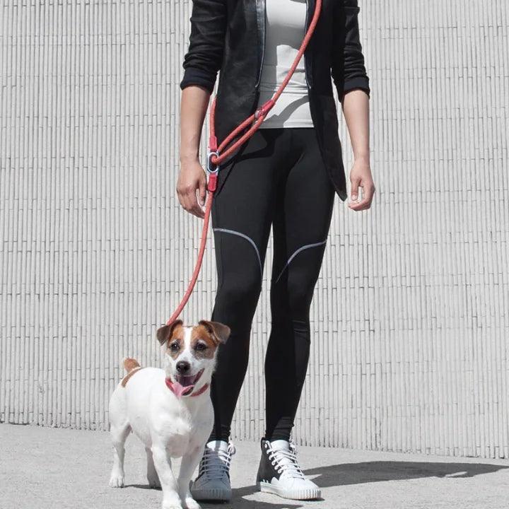 GlowGuide Reflective Nylon Dog Leash - MANDOTOS